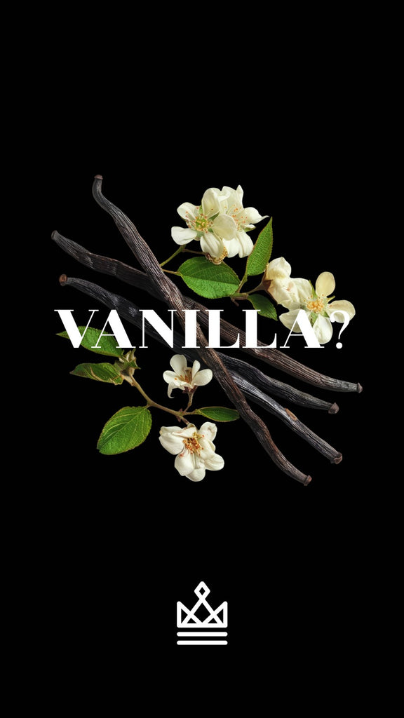 The Timeless Elegance of Vanilla